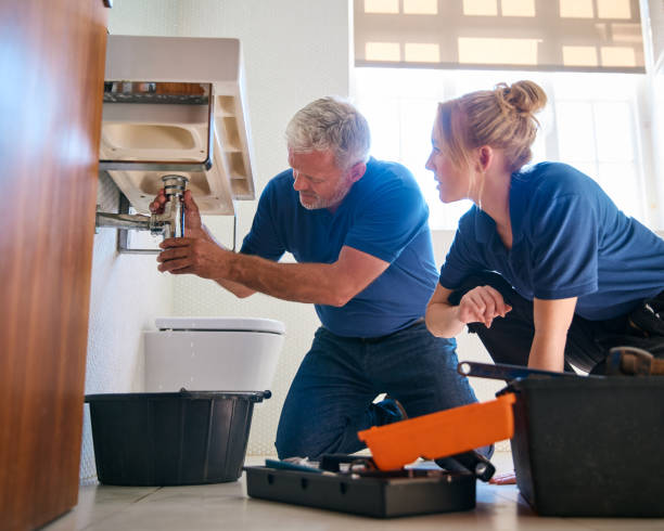 Best Commercial Plumbing Services  in Reed City, MI